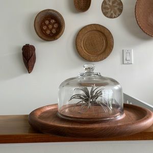 Teak wood and glass dome cheese tray